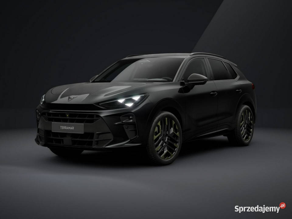 Cupra Terramar Tribe Edition 20 TSI 204 DSG napęd 4x4 Łódź