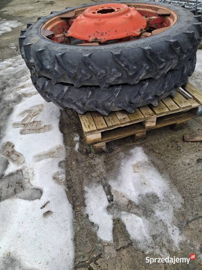 koła wąskie miedzyrzędzi upraw miedzyrzędowych małopolskie Radziemice