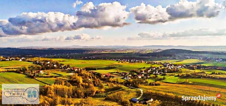 sprzedaży działki Mniów 5000 metrów 28.84m Sprzedaż sprzedam