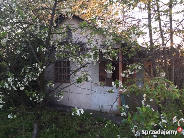 Sprzedam działkę ROD Cicha Dolina Wrocław