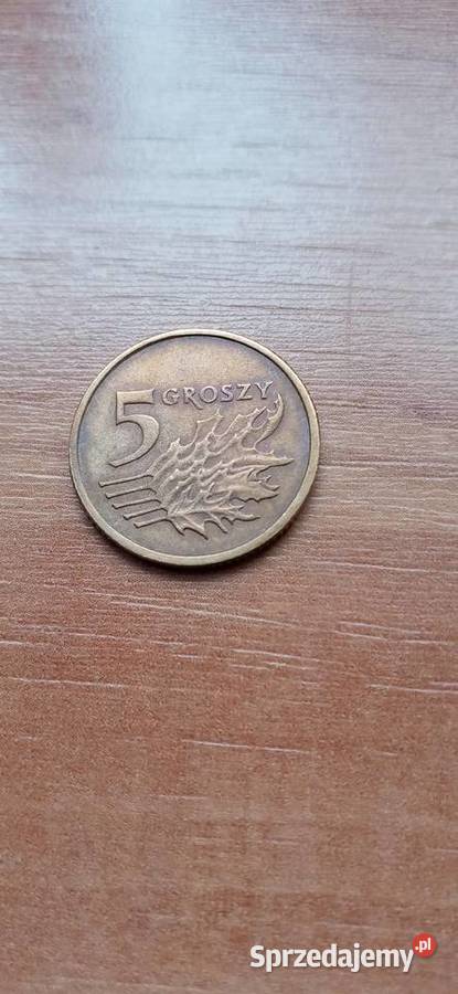 Moneta 5 grz 98r Skoczów