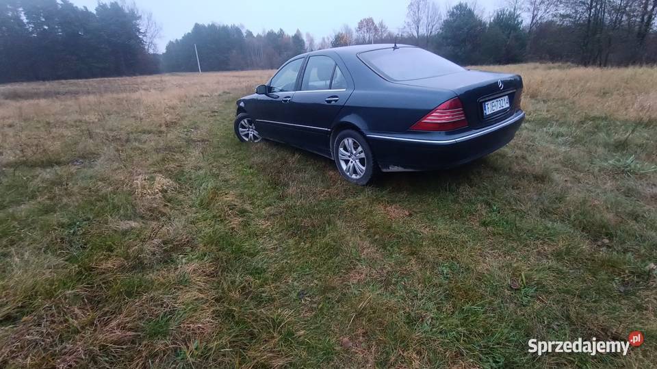 S320 32 CDI 204 konie myślę że stan świętokrzyskie Małogoszcz sprzedam