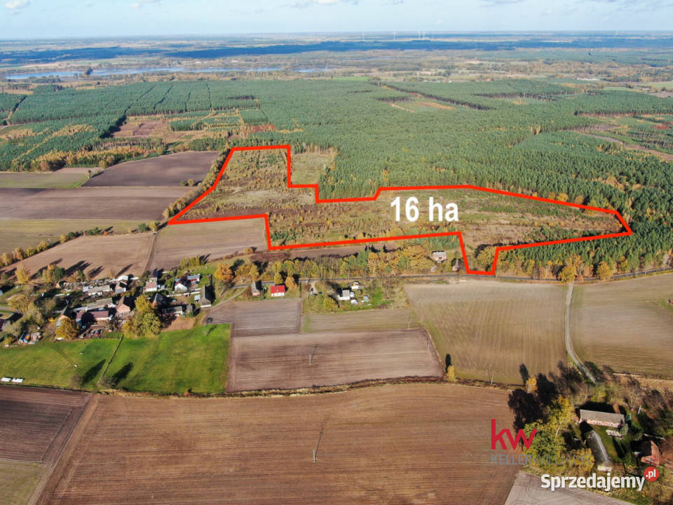 Grunt 16310 metrów Borzynowo Sprzedaż