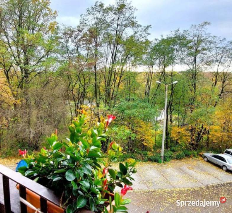 M4 II p Pogwizdów śląskie