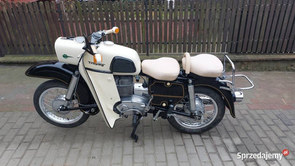 Mz trophy kujawsko-pomorskie Rypin