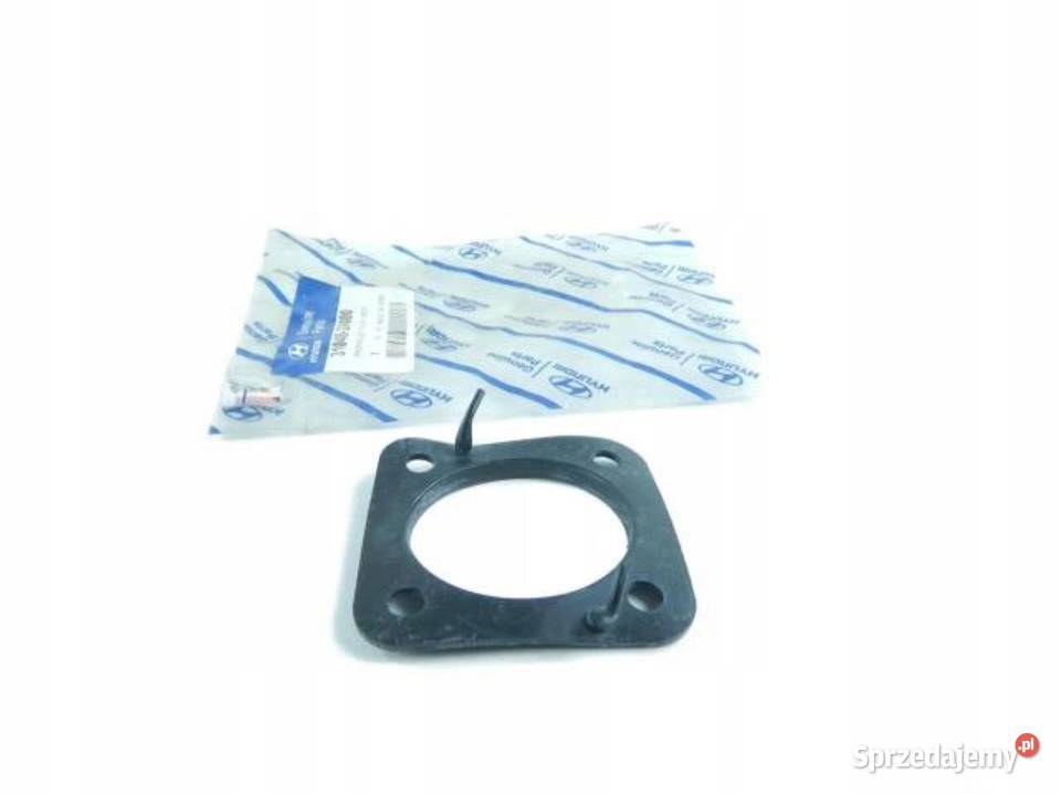 USZCZELKA ZBIORNIKA PALIWA BAKU HYUNDAI SANTA FE