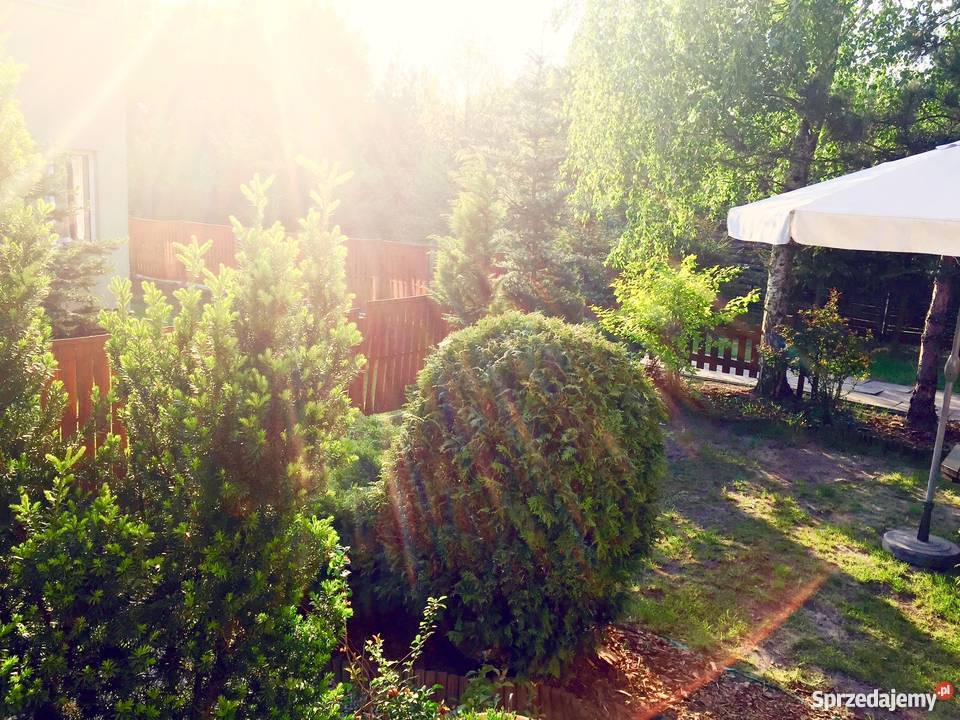 WAWER 3 pokojowe z ogródkiem bezpośrednio Warszawa sprzedam