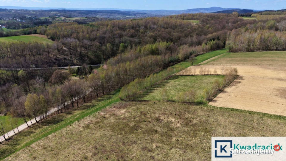 Działka Lublica 1988m2