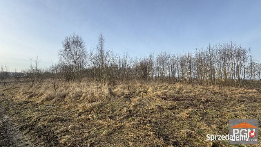 Działka 2002m2 Buniewice Sprzedaż