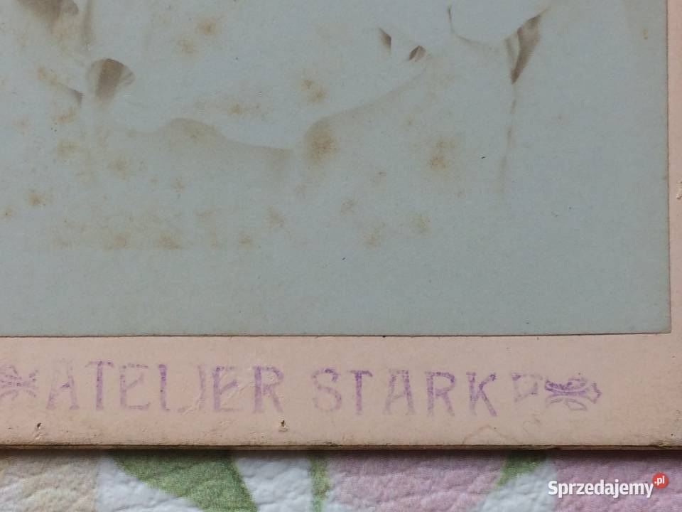 1238 SULĘCIN Niemieckie Zdjęcie Kartonikowe Szczecin sprzedam