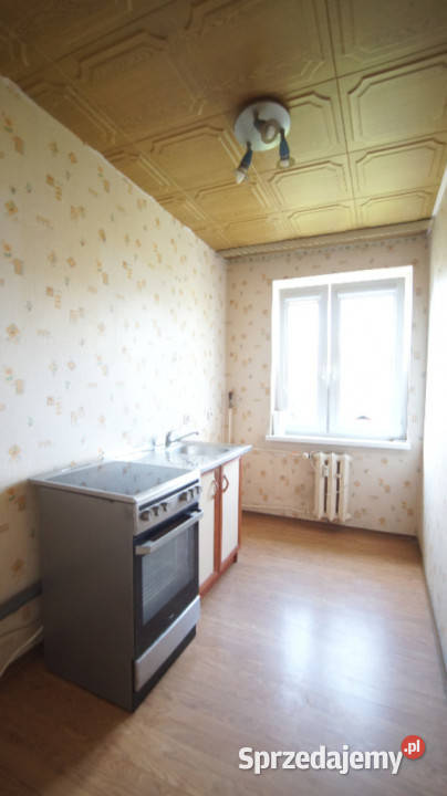 Sprzedaż kawalerka 3030 m2 niska zabudowa Pużaka Liczba pokoi 1 sprzedam