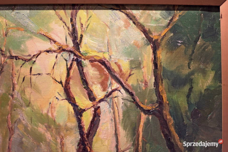 Van Aken pejzaż leśny Lubin