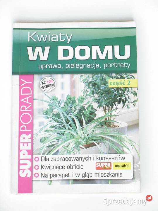 Kwiaty w domu Kraków