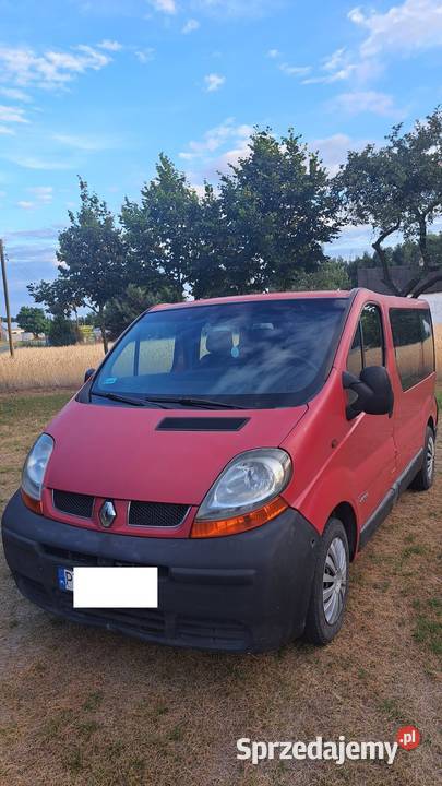 Renault Trafic 19 DCI Turek