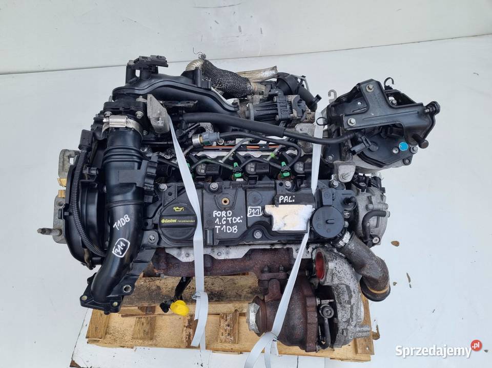 SILNIK Ford Focus III MK3 16 TDCI 115 T1DA T1DB Rudka sprzedam