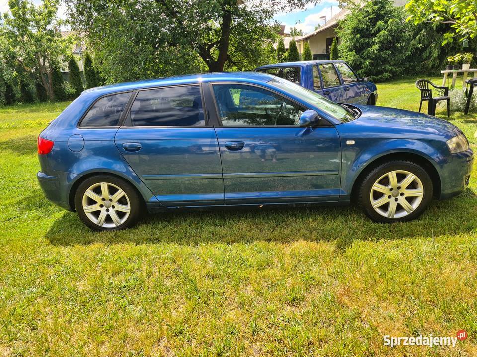 AUDI A3 8P 2004 nieuszkodzony Maśluchy sprzedam