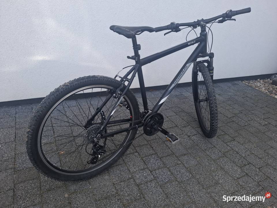 Rower Serious Wołów