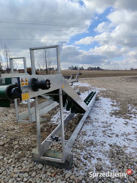Taśmociąg Podajnik Transporter do zbioru warzyw nieuszkodzony Ewunin