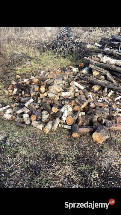 Drewno opałowe drewno kominkowe drewno do kozy Oborniki Śląskie