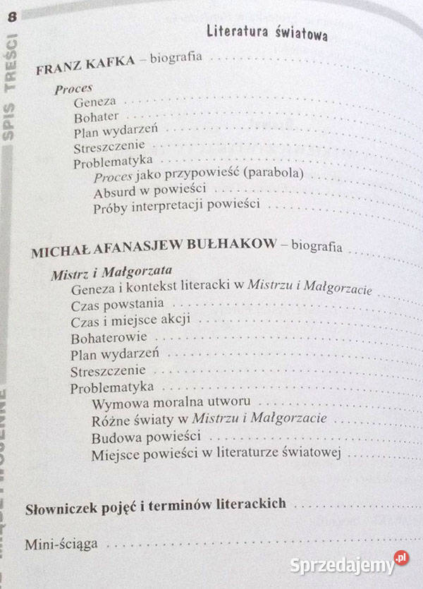 opracowanie 20lecie język polski liceum analiza Kraków