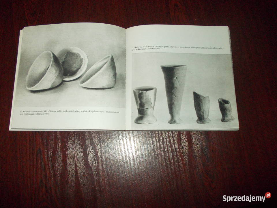 Wieliczka Antoni Jodłowski 1570 Stalowa Wola sprzedam