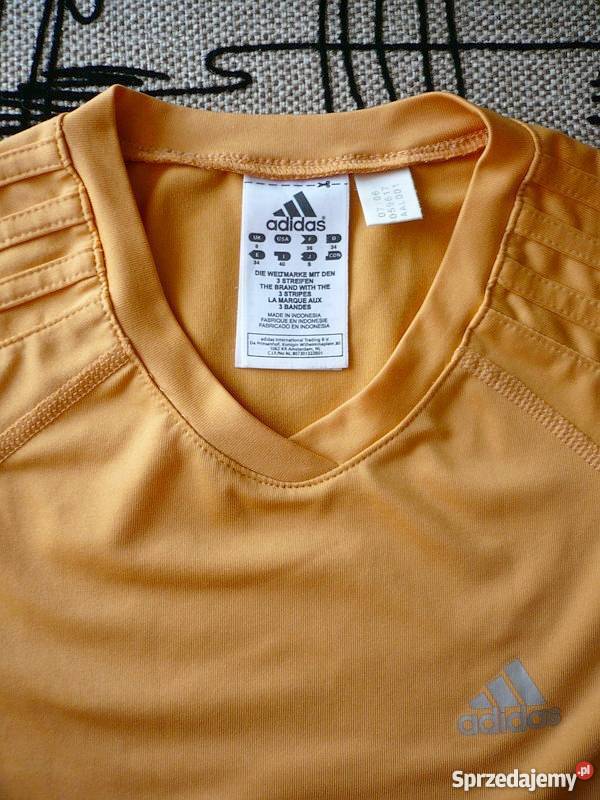 Pomarańczowa koszulka na krótki rękaw Adidas XS kujawsko-pomorskie Toruń