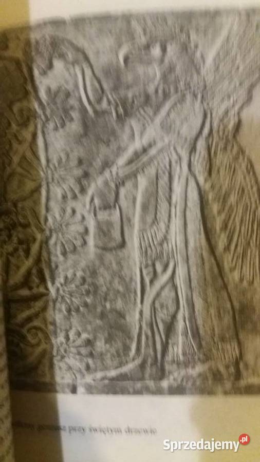Mitologia Mezopotamii antykwariaty szkolne Warszawa