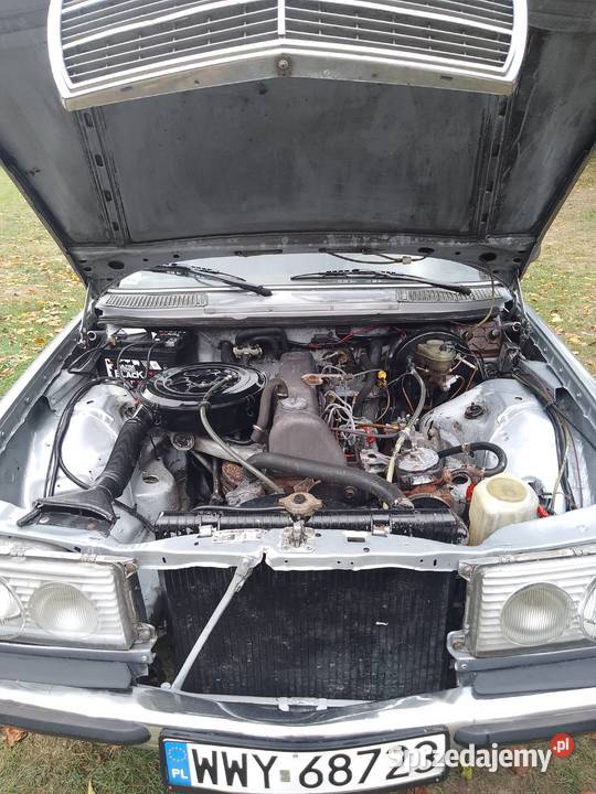 Mercedes 123 Tłuszcz sprzedam