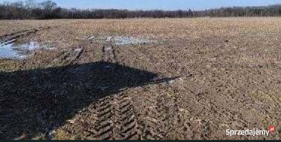 Działka rolna 26h wojdolnoślaskie Wrocław