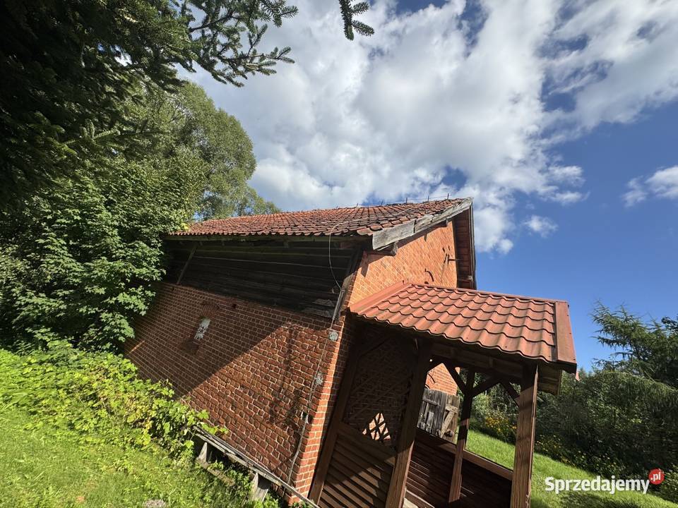 Dom działka mieszkanie jezioro las Sprzedaż Bądze sprzedam