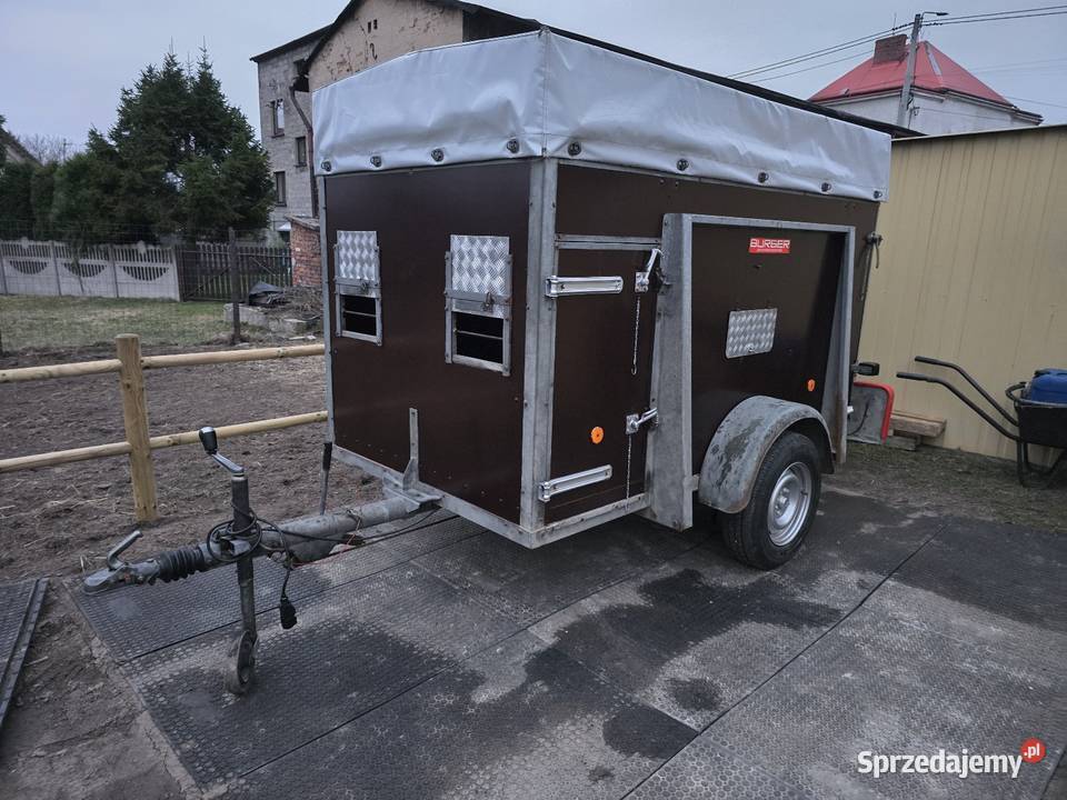 Przyczepa do przewozu zwierząt Kucy Alpak Owiec sprzedam