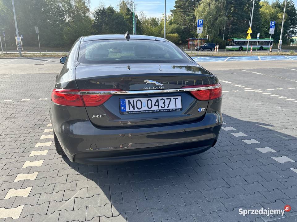 Jaguar XF 2017 zadbany podlaskie Białystok