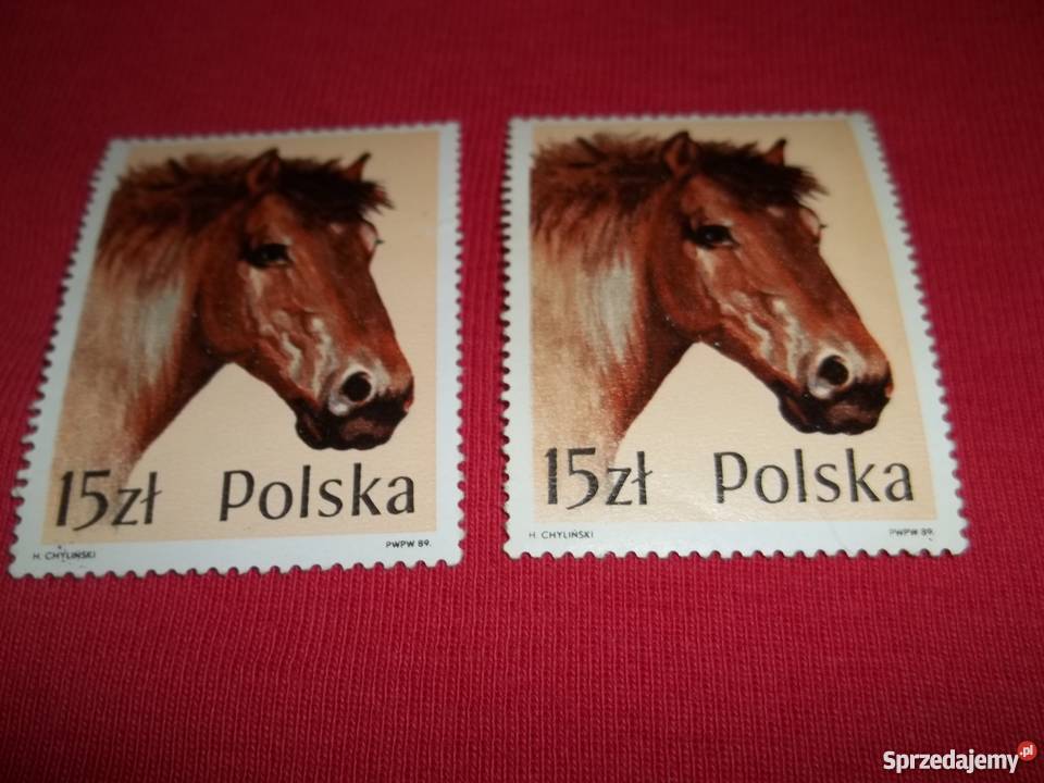 Znaczek pocztowy Koń Polski 2a znaczki pocztowe Łódź