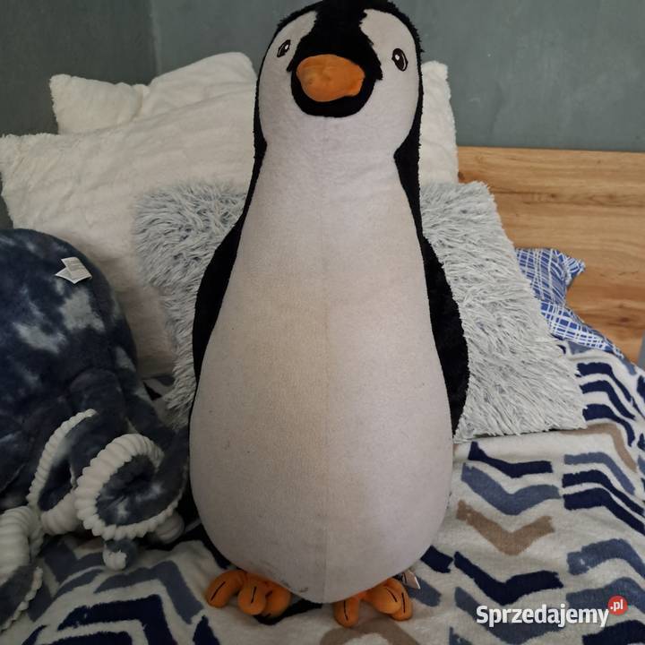 Pingwin 50 biały lubelskie Biała Podlaska