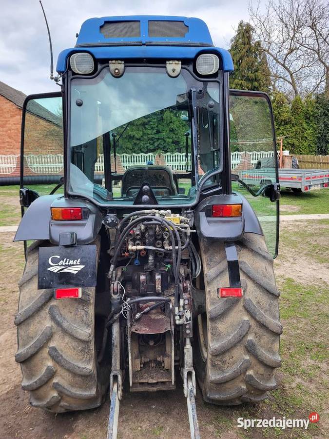 Holland sadownik Dąbrowica