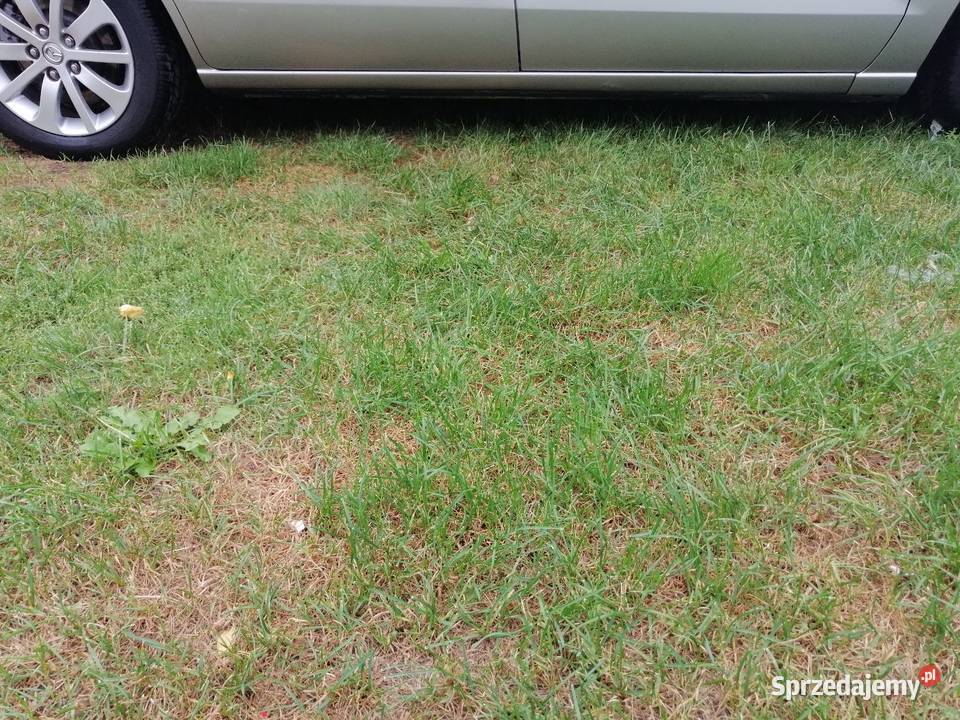 Mazda 5 18 Benzyna 2005 Dąbrowa Tarnowska