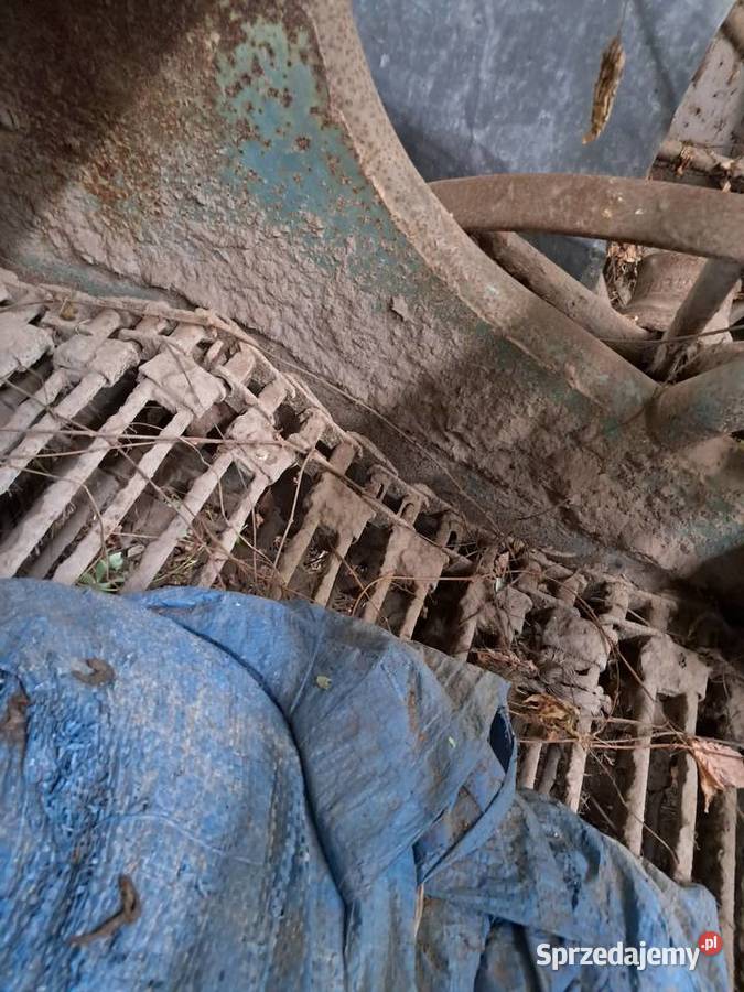 Kopaczka elewatorowa do ziemniaków Lublin