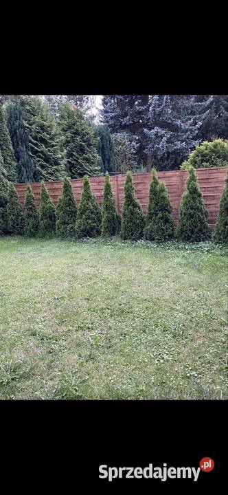 Dom do wynajęcia Konstancin Jeziorna 010826 gazowe Konstancin-Jeziorna sprzedam