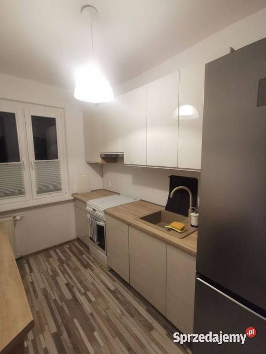 Idealne pary singla małej rodziny sprzedam