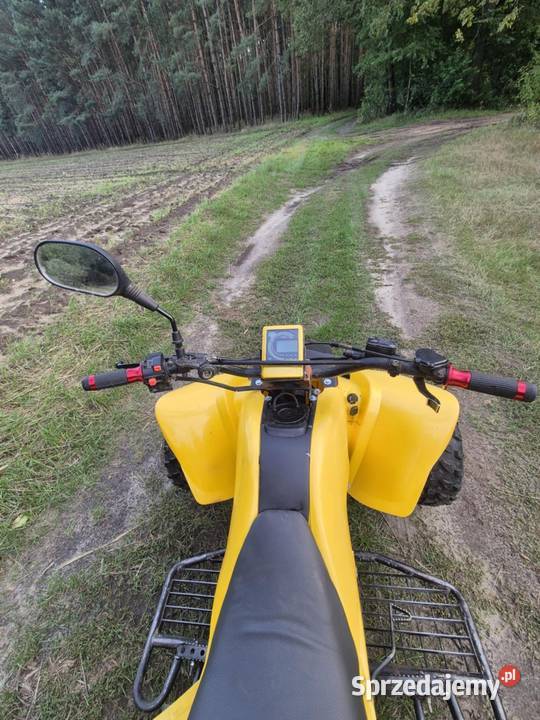 Bashan 200 250 Quad ATV Zelów
