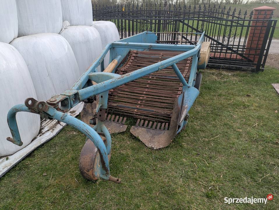 Kopaczka elewatorowa dwurzędowa rolnika nieuszkodzony mazowieckie Maciejowice
