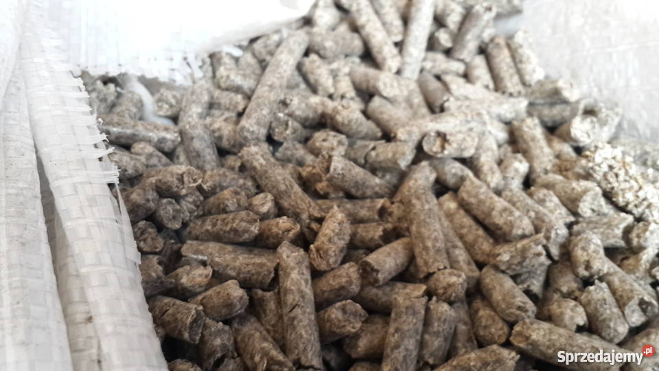 Wysłodki buraczane suche granulowane