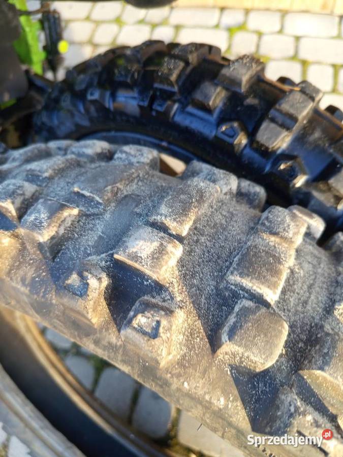 Diabolini agb 38 podkarpackie Narol sprzedam