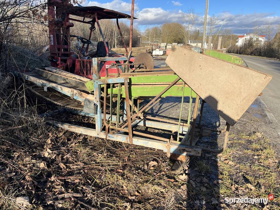 Sortownik Ziemniaków Amazone Zamość sprzedam