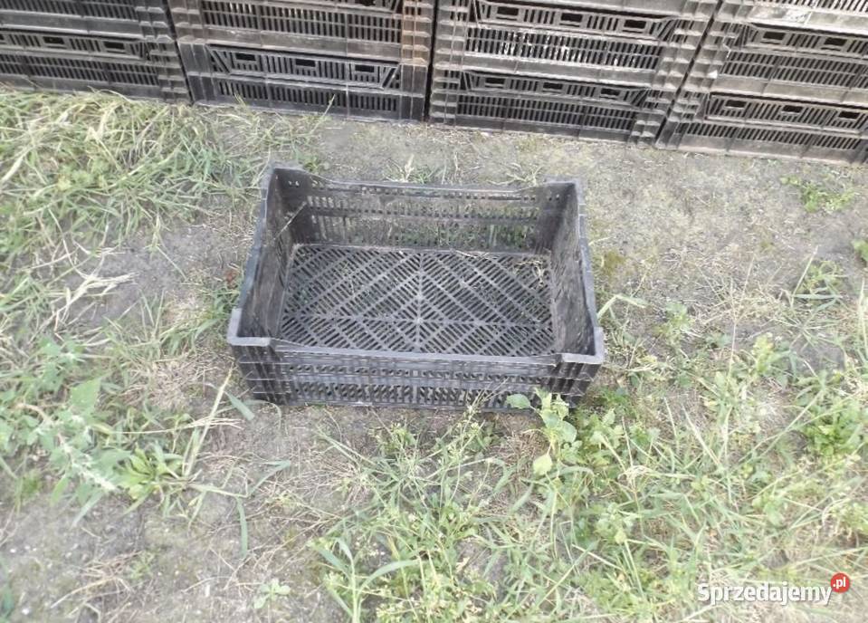 Skrzynka ogrodnicza Siedlce