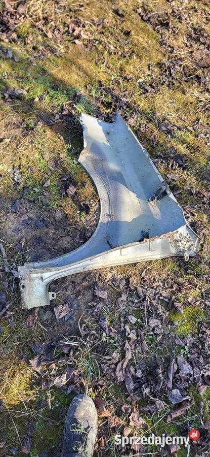 Błotnik Prawy Przód Fiat Panda 2 małopolskie