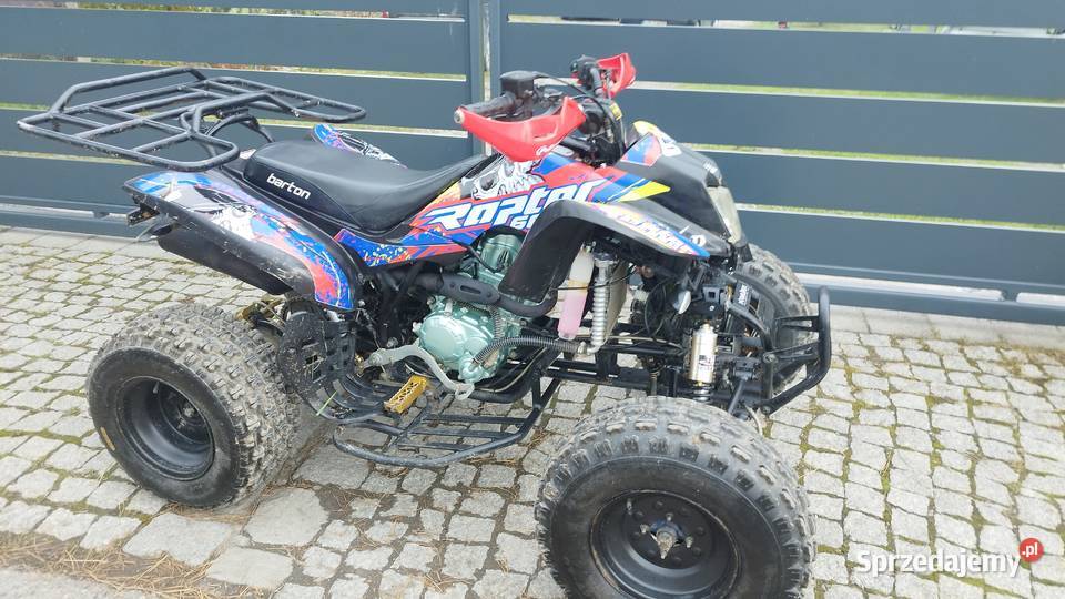 quad Bashan 250 shinerey 2021 śląskie Żywiec