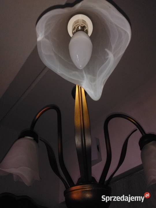 Przepiękna lampa sufitowa nieprzemijający design