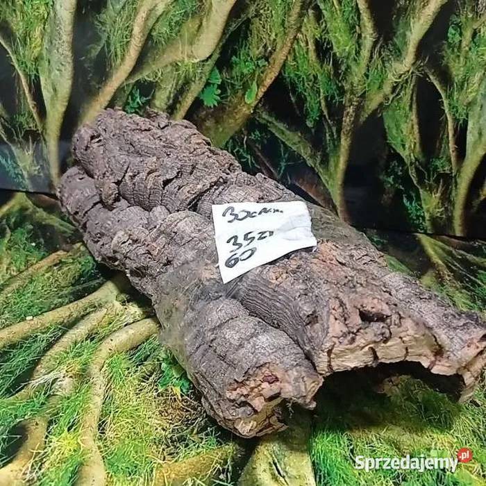 Tuba korkowa 1545 Tuby korkowe do terrarium Terrarystyka Ostrów Wielkopolski