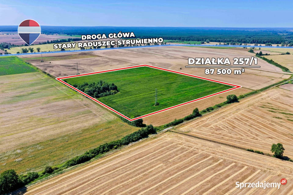 Na sprzedaż grunty orne RIIIa 875 ha rolna